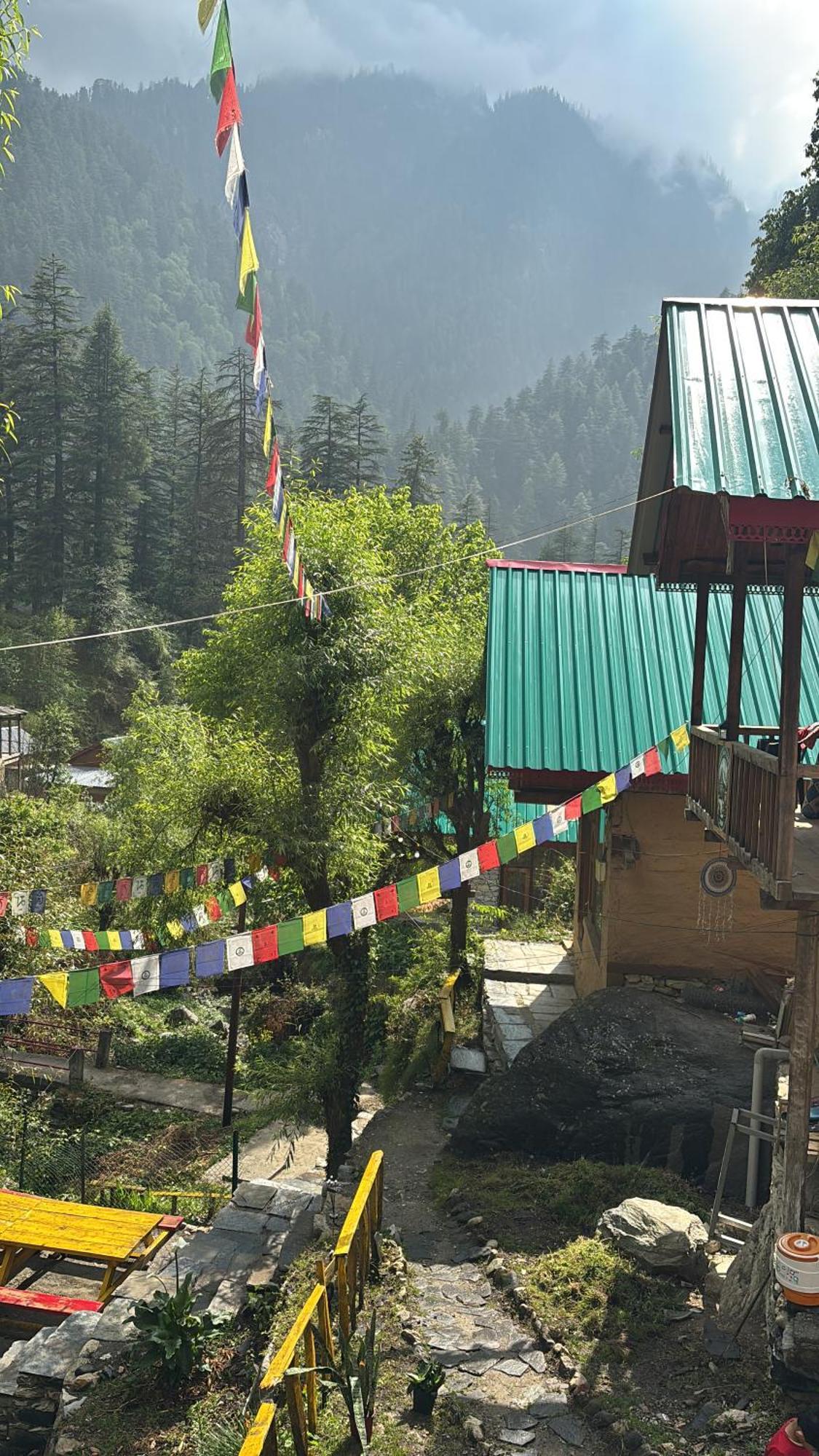 The Cozy Cabin, Jibhi Banjār Екстериор снимка